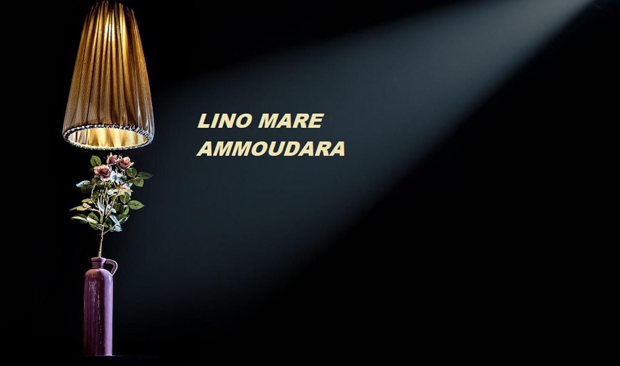 Lino Mare Boutique Hotel Amoudara Lasithiou Dış mekan fotoğraf